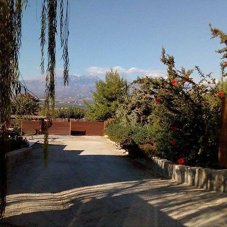 House Veggera - Private Swimming Pool Guest House Pombia Екстериор снимка